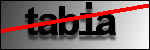متن برای شناسایی